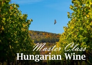 [05/28] Hungarian Wine Master Class