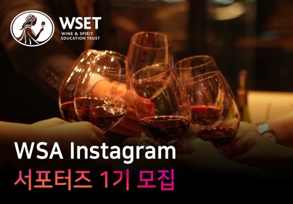 WSA Instagram 서포터즈 1기 모집
