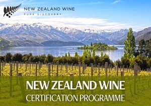 [06/11] New Zealand 와인 전문가 과정
