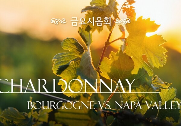[06/25] 제56회 - Chardonnay - Bourgogne vs. Napa Valley