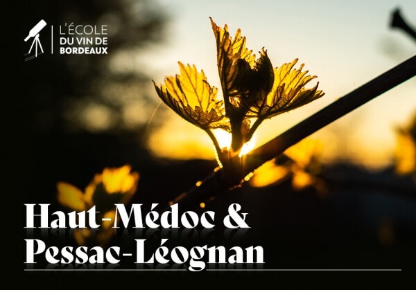 [10/13] CIVB 보르도 와인 전문가 과정, 'Haut-Médoc & Pessac-Léognan' Special