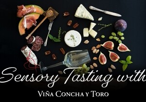 [12/13] Sensory Tasting with Concha y Toro