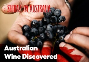 [03/11] Australian Wine Discovered : Shiraz in Australia