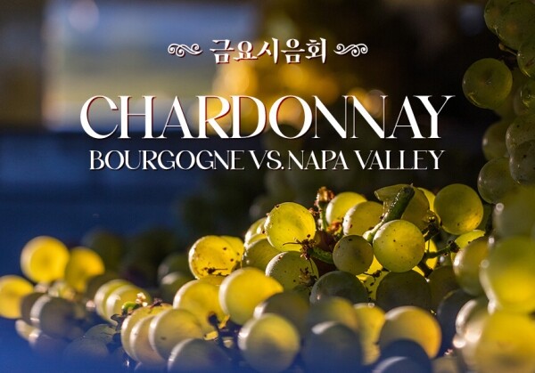 [05/20] 제67회 - Chardonnay, Bourgogne vs. Napa Valley