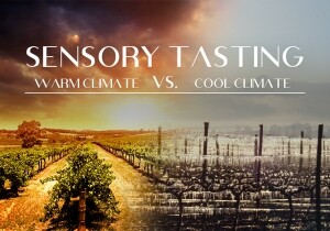 [06/03] Sensory Tasting #1 - Warm Climate vs. Cool Climate