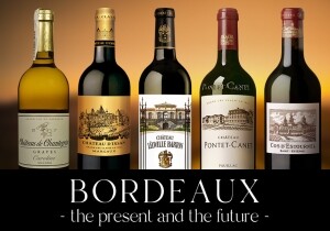 [07/08] Bordeaux - 현재와 미래