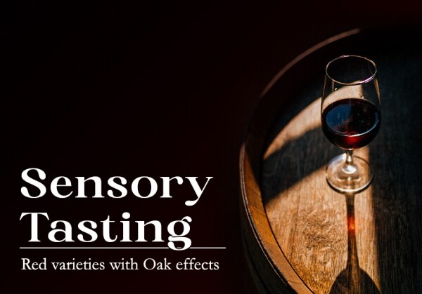 [07/15] Sensory Tasting #2 - Red varieties with Oak effects