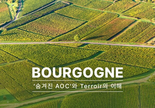 [07/25] Bourgogne - '숨겨진 AOC'와 terroir의 이해
