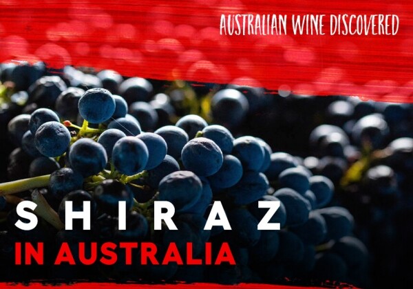 [10/14] Australian Wine Discovered : Shiraz in Australia