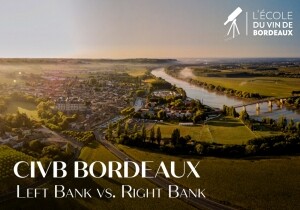 [10/16] CIVB 보르도 와인 전문가 과정, 'Left Bank vs. Right Bank' Special