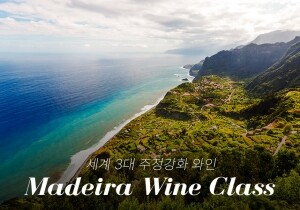 [12/19] 세계 3대 주정강화 와인, Madeira Wine Class