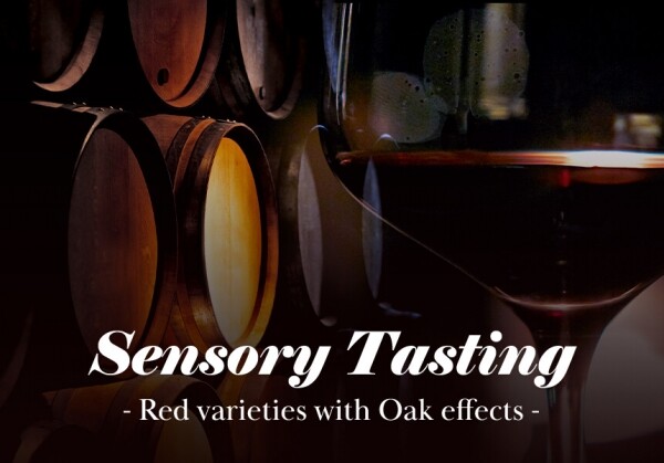 [01/13] Sensory Tasting - Red varieties with Oak effects