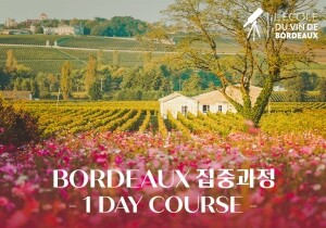 [02/03] CIVB 보르도 와인 전문가 과정, 'Bordeaux 집중과정 One Day'