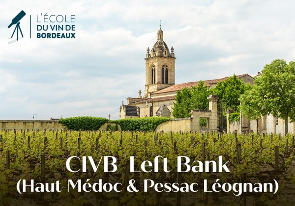 [03/14] CIVB Left Bank (Haut-Médoc & Pessac Léognan)