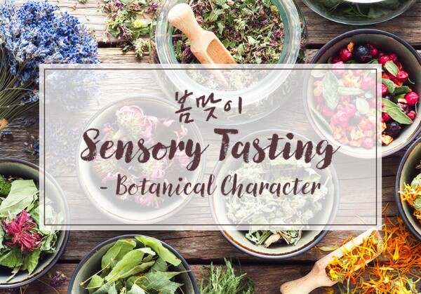 [04/07] 봄맞이 Sensory Tasting - Botanical Character