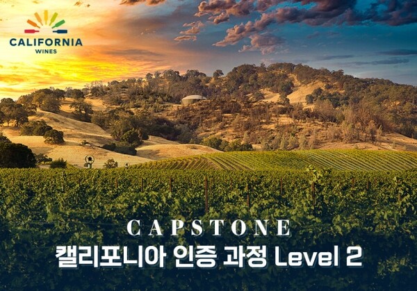 [06/25] 캘리포니아 와인 인증과정 Level 2