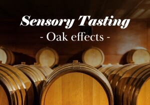 [08/11] Sensory Tasting - Oak effects