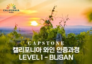 [08/18] 캘리포니아 와인 인증과정 Level 1 - 부산