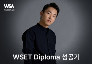 [09/23] WSET Diploma 성공기