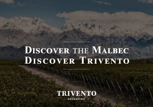 [11/04] Discover the Malbec Discover Trivento
