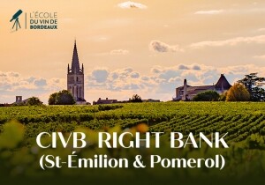 [11/18] CIVB Right Bank (St-Émilion & Pomerol)