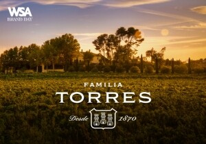 [11/24] WSA Brand Day - Torres