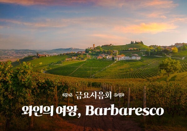 [11/24] 제85회 - 와인의 여왕, Barbaresco