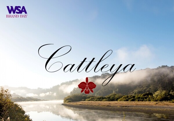 [02/28] WSA Brand Day - Cattleya