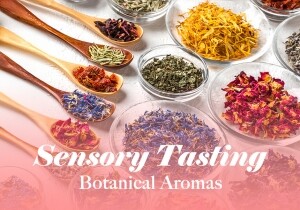 [03/15] Sensory Tasting - Botanical Aromas