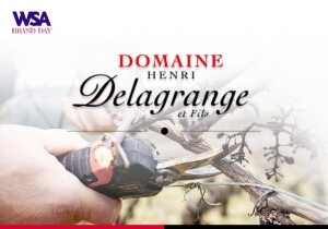 [05/27] WSA Brand Day - Domaine Henri Delagrange